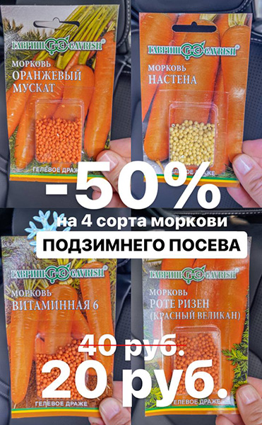 Время подзимнего посева моркови!