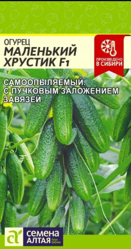 Купить семена огурец маленький хрустик f1 (среднеранний, 80 гр, устойчив к болезням) 5 шт семена алтая в интернет магазине Удачный сад