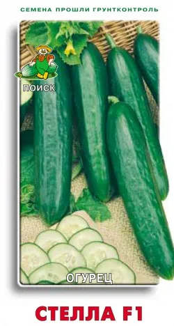 Купить семена огурец стелла f1 (ср-ранний,20-25см,самоопыляемый) 12шт поиск в интернет магазине Удачный сад