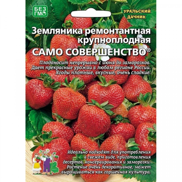 Земляника Само совершенство (ремонтантный, для резко-контин климата) 10 шт УД | Фотография товара