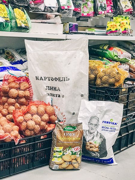 Картофель уже у нас!