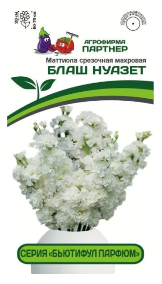 Цветы Маттиола Бьютифул Парфюм Блаш Нуазет срезочная махровая 10шт Партнер | Фотография товара