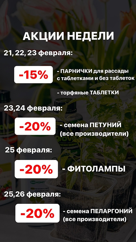 Акции недели с 21 по 27 февраля!