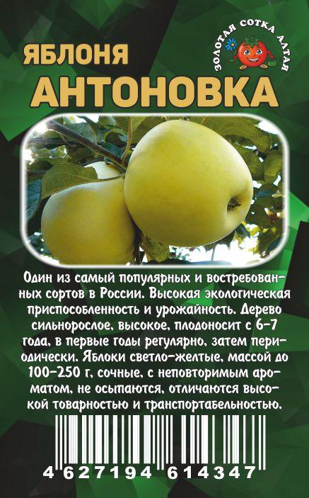 Мн Яблоня Антоновка обыкновенная...