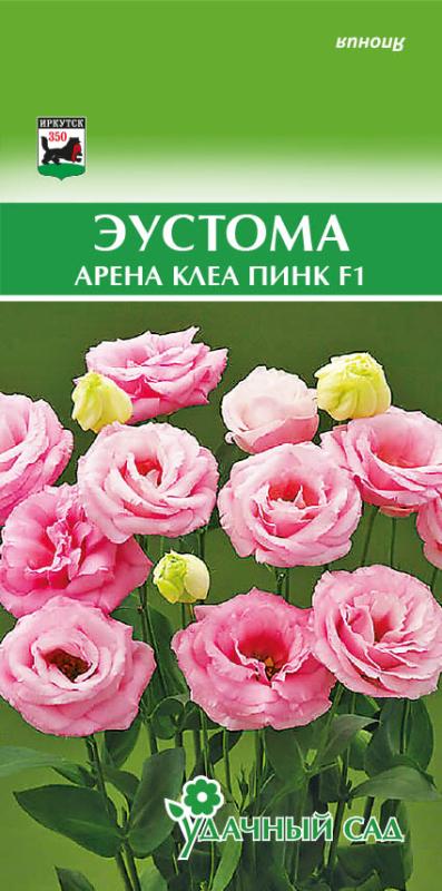 Цветы Эустома Арена F1 Клеа Пинк (выс 80 см, махров, для скрезки) 5 шт Удачный Сад | Фотография товара