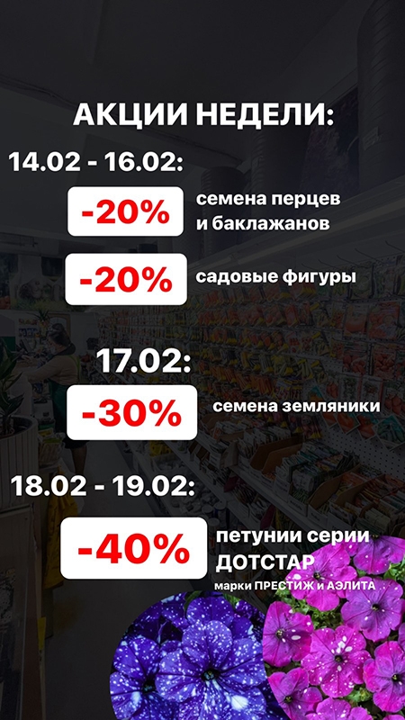 Акции недели с 14 по 19 февраля!