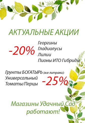 Актуальные скидки до 19 апреля!