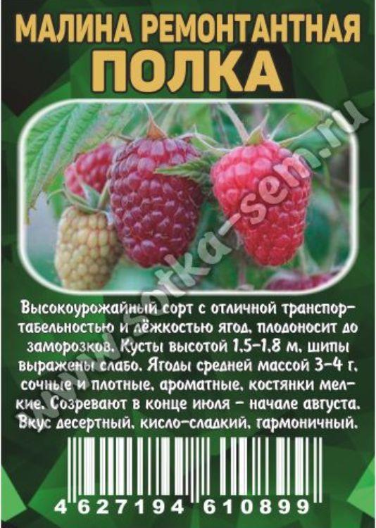 Мн Малина Полка ремонтантная (созрев...