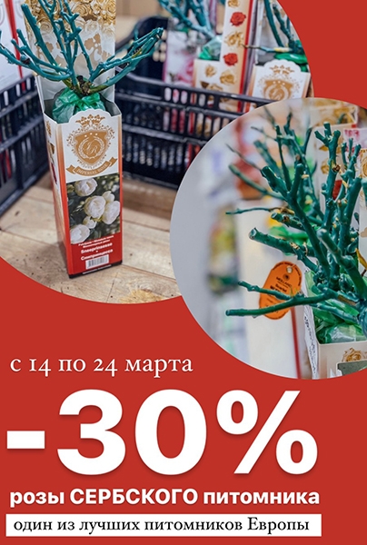 МИНУС 30% на Сербские розы!