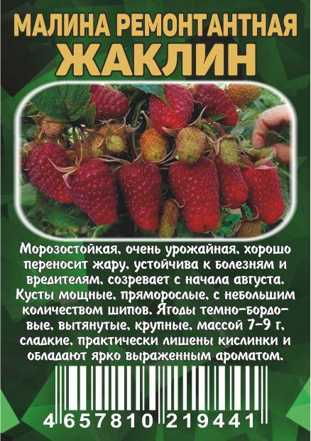 Мн Малина Жаклин ремонтантная (ранний, 7-9 гр,...