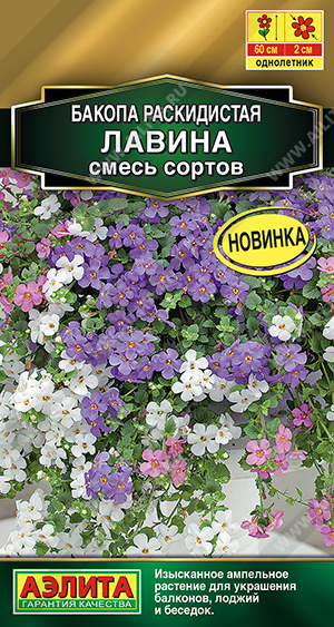 Цветы Бакопа Лавина, смесь сортов (длина побегов 40 см) 3 шт Аэлита | Фотография товара