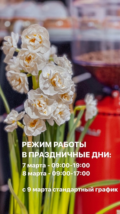 Режим работы в праздничные дни