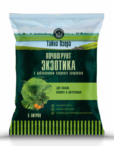 экзотика.png