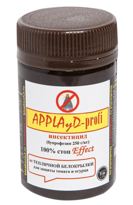 аплауд.jpeg