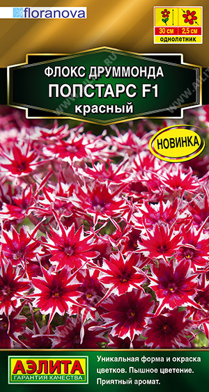 попстар.jpg